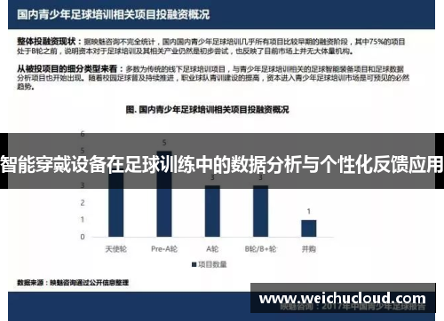 智能穿戴设备在足球训练中的数据分析与个性化反馈应用
